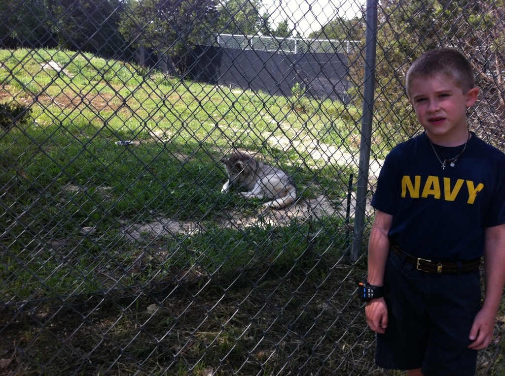 2012/04(April)/Austin Zoo with Ian/1024x768_2012-04-09-03-Austin Zoo with Ian.jpg